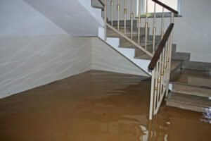 Water Restoration Damage Company in Bothell, WA