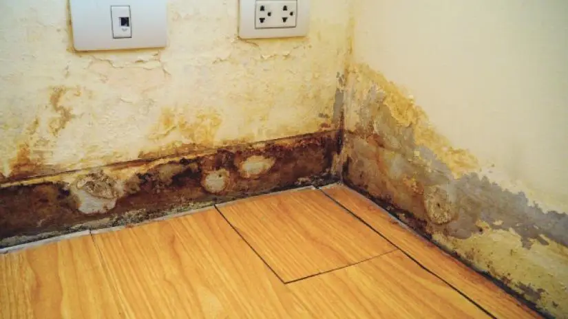 Best Way to Handle Water Damage to Your Rental Property