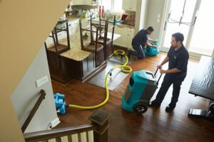 Water Damage Restoration in Bothell, WA