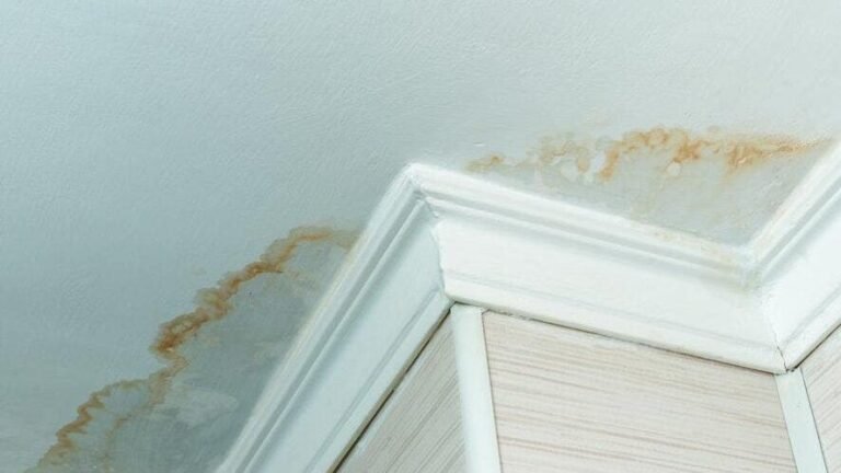 What Should I do about water leaking through my ceiling