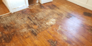 How To Identify Floor Water Damage: 19 Signs + Steps To Take