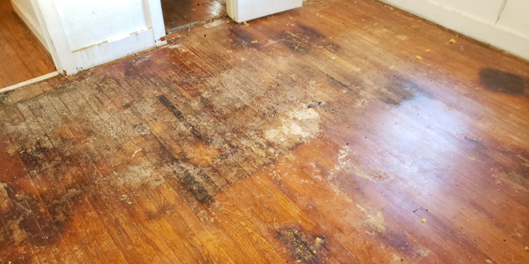 How To Identify Floor Water Damage: 19 Signs + Steps To Take