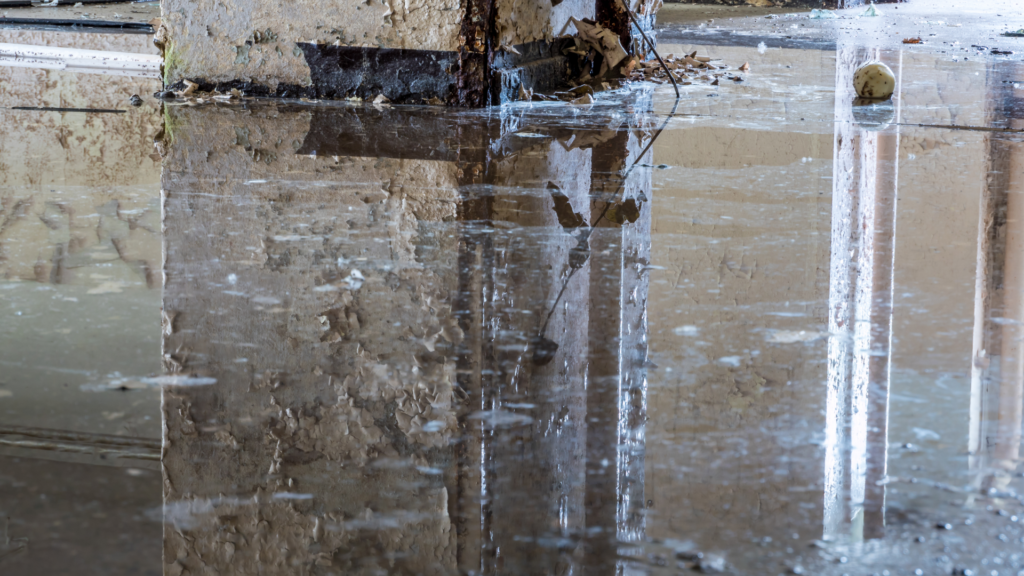 Water Damage Repair Duvall, WA