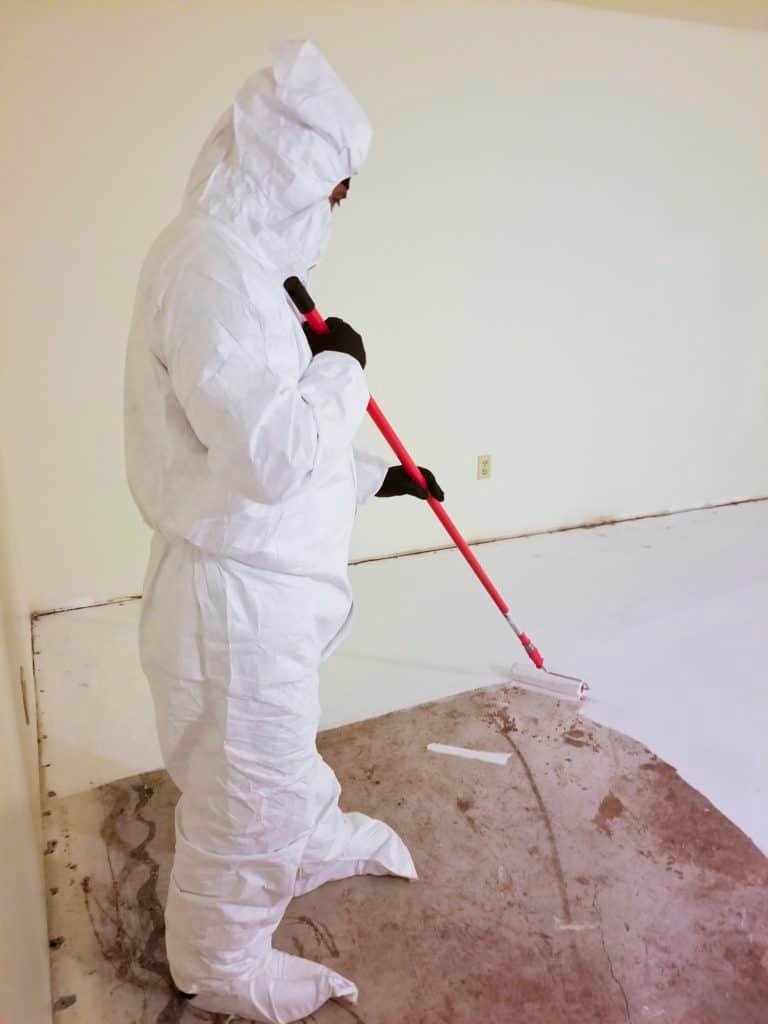 Smoke Damage Cleaning in Bothell, WA