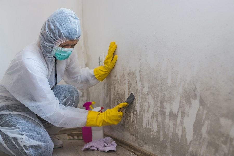 Mold remediation in Bothell, WA