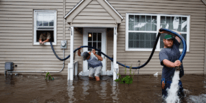 Water Damage Companies in Mill Creek, WA