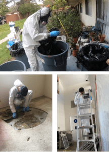 Bio Clean Up in Mill Creek, WA