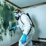 Mold Removal in Mill Duvall